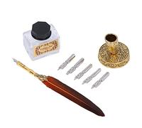Pssopp Penna Calligrafia, Set di Pennelli di Piume Vintage, Pennini in Acciaio Inossidabile, Decorazioni Eleganti per gli Scrittori delle Scuole Domestiche (ORANGE)