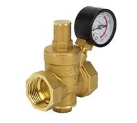 Pssopp Regolatore di Pressione dell'acqua DN25 Valvola di Riduzione della Pressione in Ottone con Manometro 1.6MPa Struttura del Pistone Regolabile per la Conduttura dell'acqua del Rubinetto