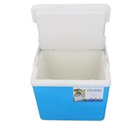 Pssopp Scatola Frigo, Isolamento EPS, capacità 10 Litri, Ideale per Campeggio e Picnic (BLUE)
