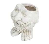 Pssopp Statua del Volto di Fioriera, Fioriera con Testa Unica Realizzata in Resina, Design Divertente per la Camera da Letto di Casa, Decorazione per Vasi di Fiori per Interni Ed Esterni (Tipo 1)