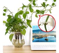 Pssopp Supporti per Viti da Parete, Clip Adesive per Cavi Twistati 50 Pezzi Supporti di Supporto per Piante in Plastica per Piante Rampicanti, Ganascia da 9 Mm per Pareti da Giardino Traliccio Viti