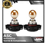 PSY24WSV Indicatore Lampada Lampadina 12v 24w PG20/4 - Argento / Ambra - Coppia