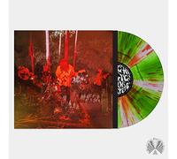 PSYCHEDELIC PORN CRUMPETS.- LIVE AT LEVITATION