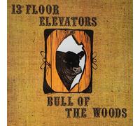 13th floor elevators psychedelic sounds (CD)