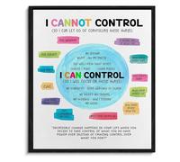 Psychology Wall Art I Can Control I Cannot Control Mental Health for Therapy Office Classroom Decor(Framed,16x24inch(40x60cm))