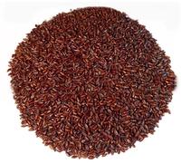 Psyllium, Black Husk Fibers - semi di Psyllium Nigrum Husk