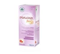 PSYLLOGEL FAST F 10 STICK