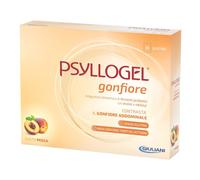 PSYLLOGEL Gonf.Pesca 10Bust.