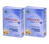 PSYLLOGEL® Megafermenti 24 2x12 pz Bustina