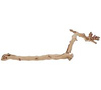 PT-3077 Legno della Foresta Large 60CM Exo Terra Ramo per terrario
