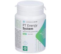 Pt Energy System 30 Compresse