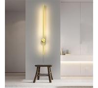 PTLYE Striscia LED Lunga lineare Girevole per Interni in Stile Nordico Moderno in Metallo per Camera da Letto Soggiorno (Luce Calda Dorata 100 cm)