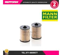PU821X2 Filtro carburante (MARCA-MANN FILTER).