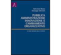Pubblica amministrazione, innovazione e cambiamento organizzativo. Il caso Agenzia delle entrate