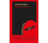 Pubblico e privato. Le inchieste del commissario Zarotti