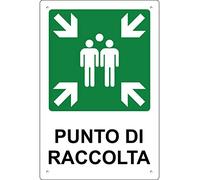Pubblimania Punto di Raccolta | Cartello di emergenza e sicurezza in alluminio metallo composito 3 mm di spessore (Cm 20x30) (Punto di Raccolta)