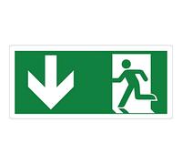 pubblimania Uscita di Emergenza Adesivo PVC Resistente per Esterno e Interno (Cm29x13) (Freccia Basso)