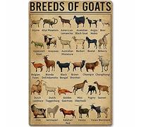 PUBDSKBLDE Breeds of Goats, cartello in metallo con guida alla conoscenza della capra, poster in stile retrò, decorazione da parete per casa, cucina, ristorante, club, 20 x 30 cm