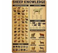 PUBDSKBLDE Sheep Knowledge - Targa in metallo con scritta "The World Breeds of Sheep Dart of A Sheep", poster retrò, decorazione da parete per casa, cucina, ristorante, club, 30,5 x 40,6 cm