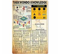 PUBDSKBLDE Targa in metallo con scritta in lingua inglese "Taekwondo, conoscenza di base e istruzioni", per scuola, club, casa, cucina, infografica, 20,3 x 30,5 cm