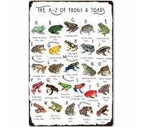 PUBDSKBLDE The Type of Frog Toad Targa in metallo con scritta in inglese "The Type of Frogs & Toads" (lingua italiana non garantita), poster infografico per scuola, educazione, fattoria, casa, cucina