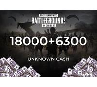 PUBG Mobile 18000 + 6300 UC (Unknown Cash) Direct Top-Up - GLOBAL