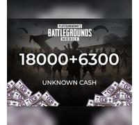 PUBG Mobile 18000 + 6300 UC (Unknown Cash) Official website Key - GLOBAL