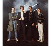 Public Access TV Street Safari (CD) Album