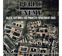 black sky over the projects: apartment 2025