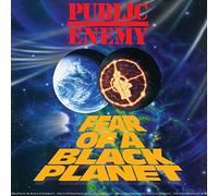Public Enemy - Fear Of A Black Planet
