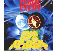 Public Enemy - Fear of a Black Planet
