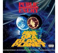 Public Enemy - Public Enemy - Fear Of A Black Planet