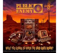 Public Enemy What You Gonna Do When the Grid Goes Down? 12" Album