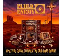 Public Enemy What You Gonna Do When the Grid Goes Down? (CD) Album (Jewel Case)