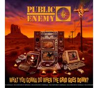 Public Enemy What You Gonna Do When the Grid Goes Down? (CD) Album (Jewel Case)