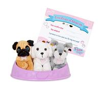 Pucci Pals Adotta Un Cucciolo, 3 Cani di Peluche con Lettino, Tema 2