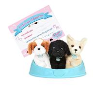 Pucci Pals Adotta Un Cucciolo, 3 Cani di Peluche con Lettino, Tema 3