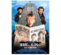 PUCHENGP Poster Di Mamma, Ho Perso L'Aereo Film Classici Poster Retrò Arte Murale Decorazione Per La Casa 50 * 70Cm Senza Cornice