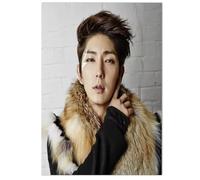 PUCHENGP Poster Fotografico Dell'Attore Star Del Cinema Lee Joon Gi Ritratto Stampa Su Tela Decorazione Da Parete 50 * 70 Senza Cornice