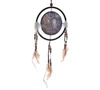 Puckator Acchiappasogni - Fairy tales - Gufo e Fata - Lisa Parker - 16 cm