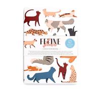 Puckator Quaderno A5 a Righe in Carta Riciclata - Gatti - Feline Fine