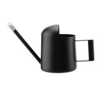 PUCSIQ Innaffiatoio in Metallo, Innaffiatoio Piccolo da Interno 300 ml, Annaffiatoio da Giardino per Ufficio, Studio, Piante in Vaso, Fiori e Giardinaggio, Nero
