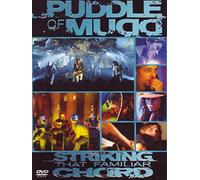 Puddle of Mudd - Striking that Familiar C.