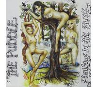 Puddle - Playboys In The Bush