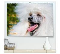 Pudel - Glück auf vier Pfoten (hochwertiger Premium Wandkalender 2026 DIN A2 quer), Kunstdruck in Hochglanz: Auf 13 traumhaft schönen Fotos zeigt die ... Sigrid Starick diese alte schöne Hunderasse