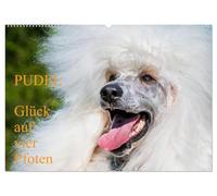 Pudel - Glück auf vier Pfoten (Wandkalender 2026 DIN A2 quer), CALVENDO Monatskalender: Auf 13 traumhaft schönen Fotos zeigt die Tierfotografin Sigrid Starick diese alte schöne Hunderasse