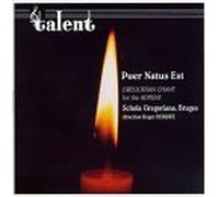 Puer Natus Est: Gregorian Chang for the Advent by Schola Gregoriana Bruges