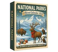 Pufei Calendario dell'Avvento 2025 con 24 ornamenti per bambini, adolescenti, ragazze e ragazzi