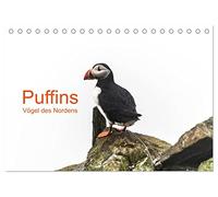 Puffins - Vögel des Nordens (Tischkalender 2026 DIN A5 quer), CALVENDO Monatskalender: Papagaeintaucher sind die arktischen Vögel, die der Kälte und ... Inseln und in anderen Gefilden trotzen.