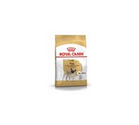 Pug Adult Carlino - 1,50KG